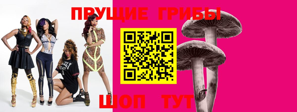 Галлюциногенные грибы Psilocybe  Галлюциногенные грибы Cubensis  Вход с VPN  продажа наркотиков  Кисловодск 
