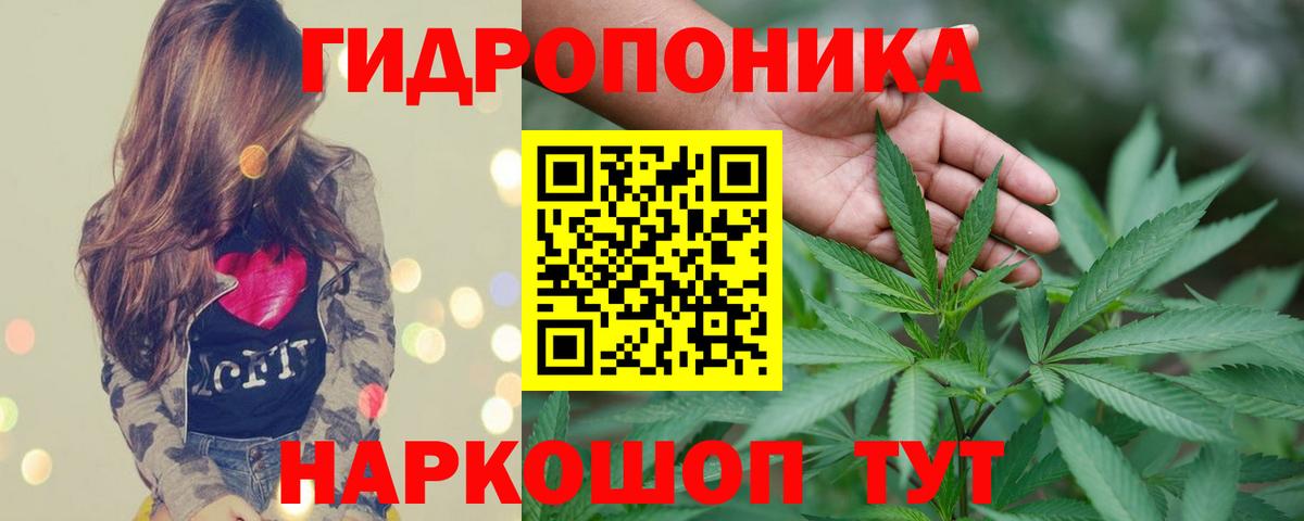 Шишки марихуана THC 21% Кисловодск